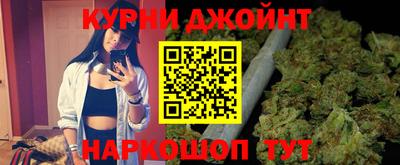 индика Обь