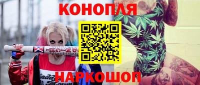 индика Обь