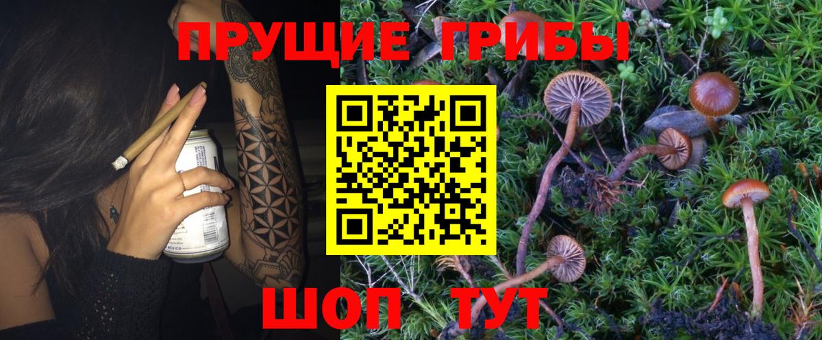 Псилоцибиновые грибы Magic Shrooms Рязань