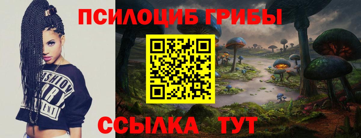 Галлюциногенные грибы Magic Shrooms  Вход с VPN  Рязань  Галлюциногенные грибы Psilocybe 